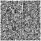 vCard uchun lidX QR kodi, Yevropa aloqa ma'lumotlari